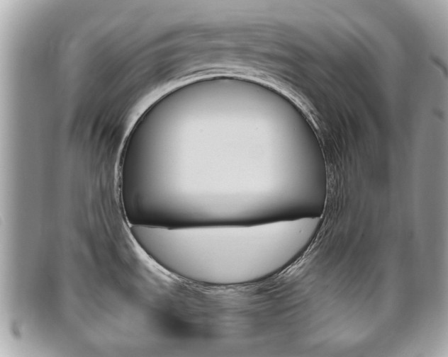 X0000095901535200801110754