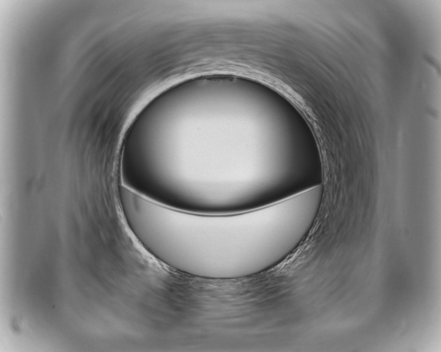 X0000095901536200801110754