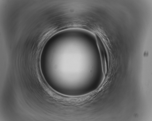 X0000095900001200801111220