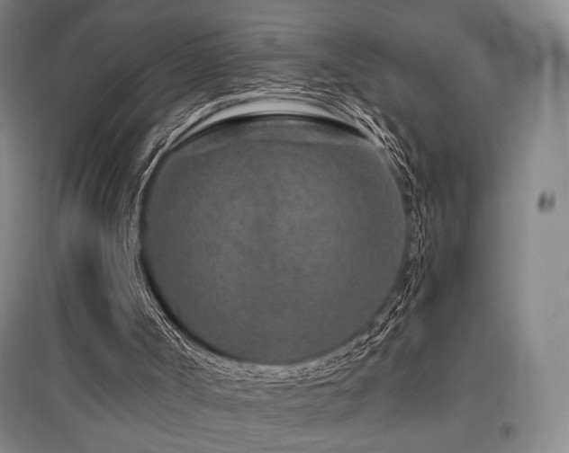 X0000095900002200801111220