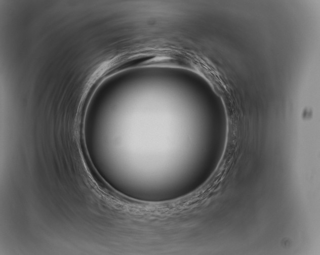 X0000095900003200801111220