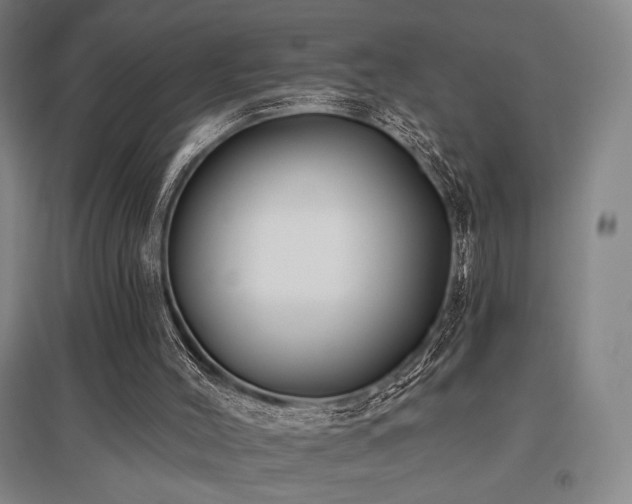 X0000095900004200801111220