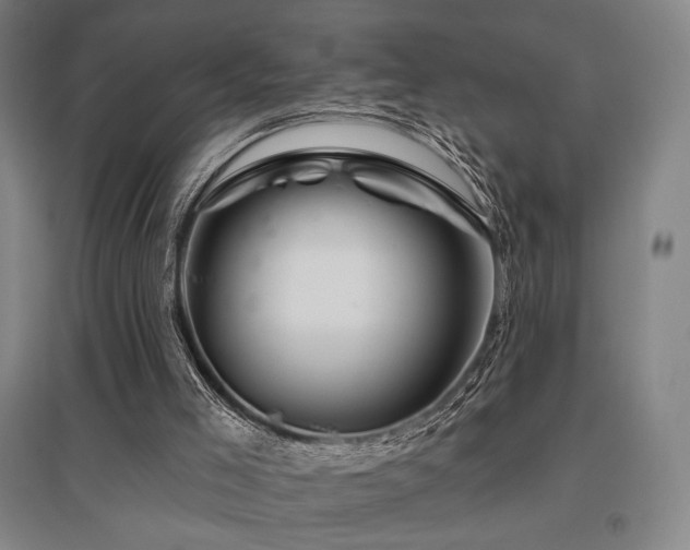 X0000095900005200801111220