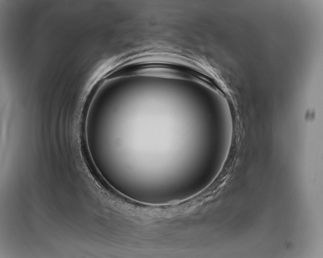 X0000095900007200801111220