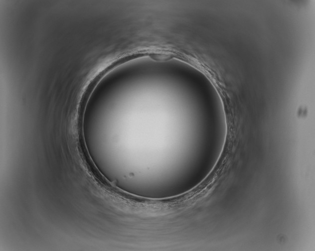 X0000095900008200801111220