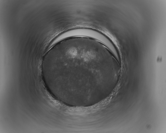 X0000095900009200801111220