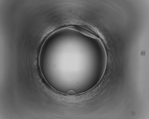 X0000095900010200801111220