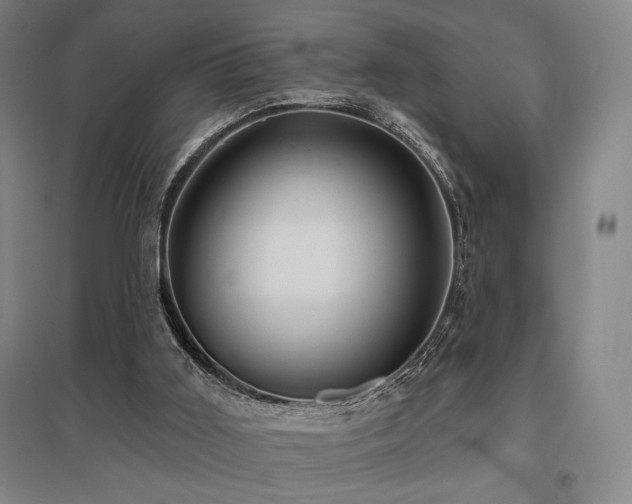 X0000095900011200801111220