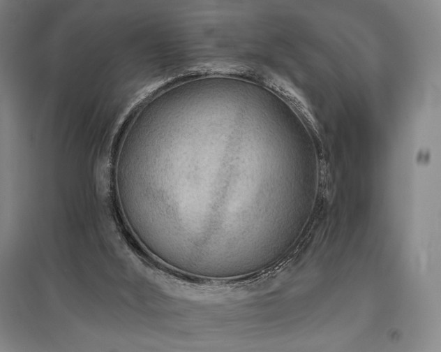 X0000095900012200801111220