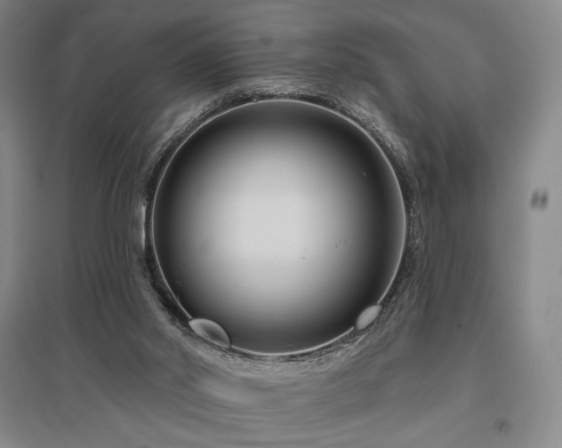 X0000095900014200801111220