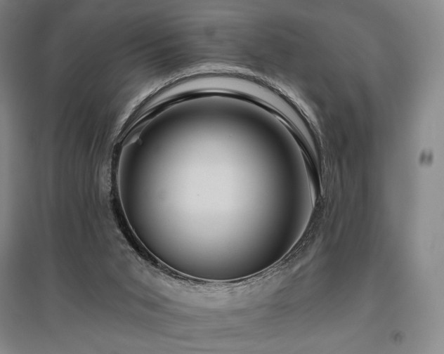 X0000095900015200801111220