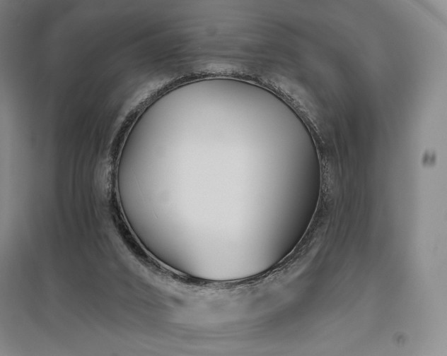 X0000095900016200801111220