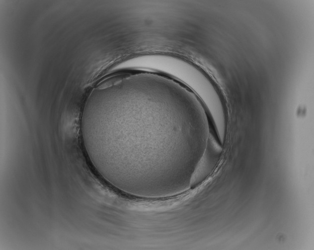 X0000095900017200801111220