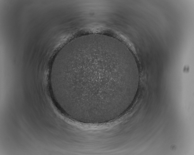 X0000095900018200801111220