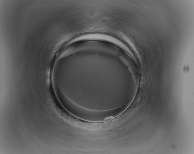 X0000095900019200801111220