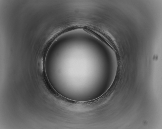 X0000095900020200801111220