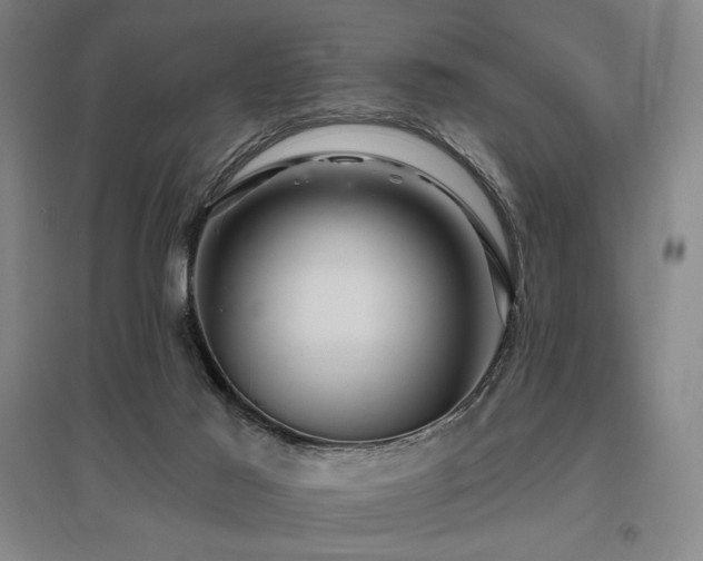 X0000095900021200801111220