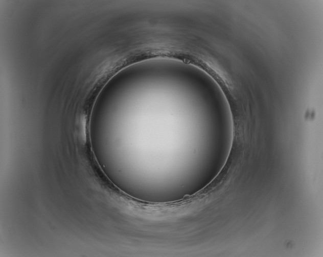 X0000095900022200801111220