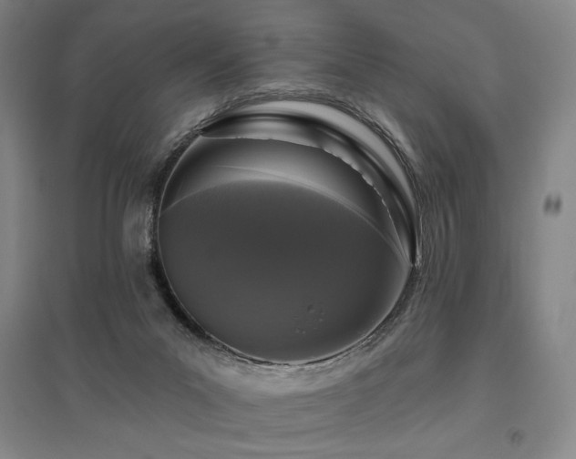 X0000095900023200801111220