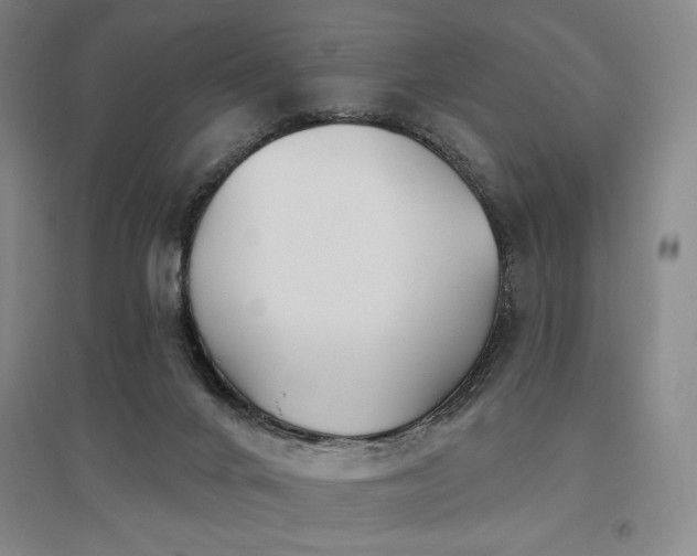 X0000095900024200801111220