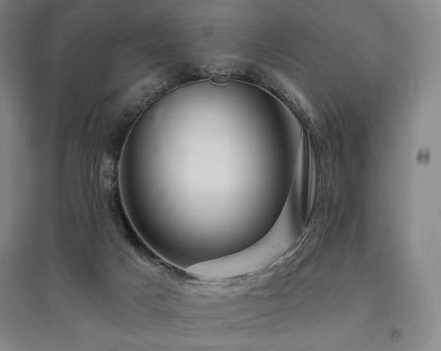 X0000095900025200801111220
