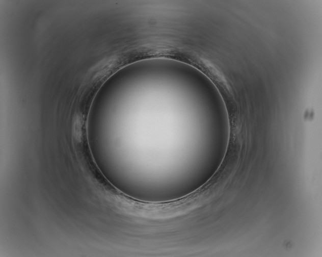 X0000095900026200801111220