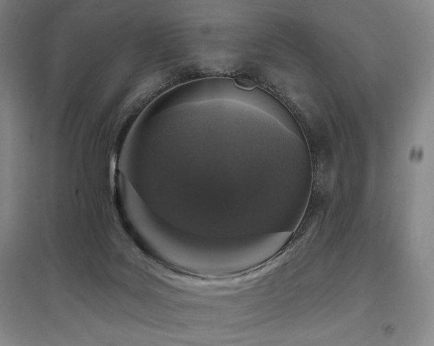 X0000095900027200801111220