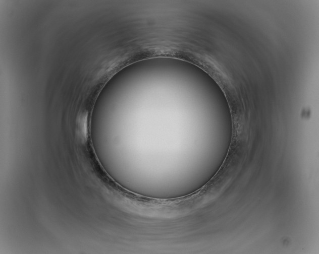 X0000095900028200801111220