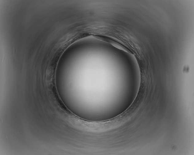 X0000095900030200801111220