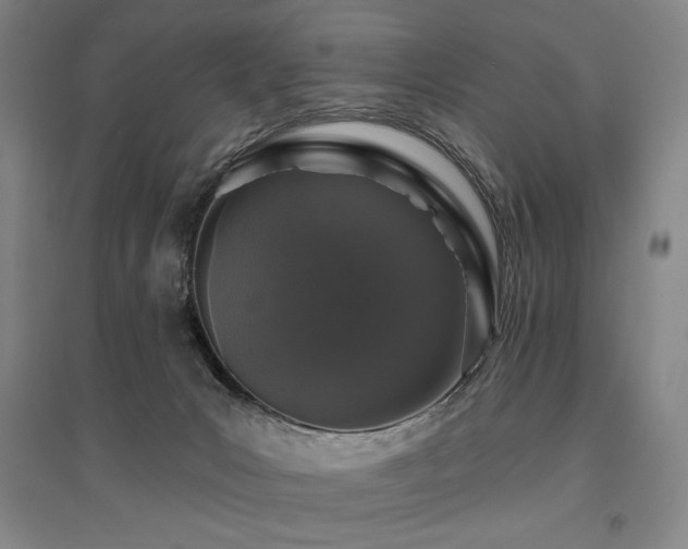 X0000095900031200801111220