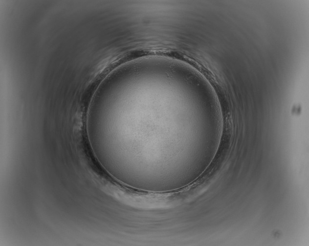 X0000095900032200801111220