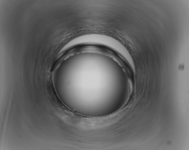 X0000095900033200801111220