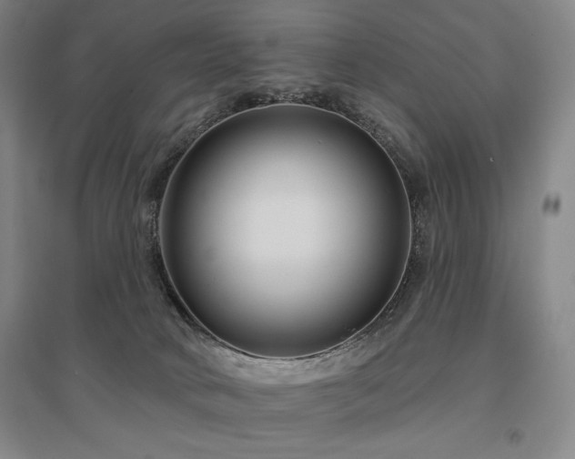 X0000095900034200801111220