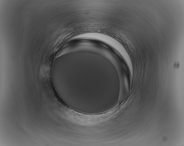 X0000095900035200801111220