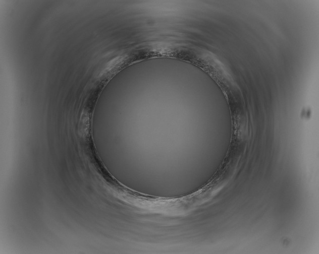 X0000095900036200801111220