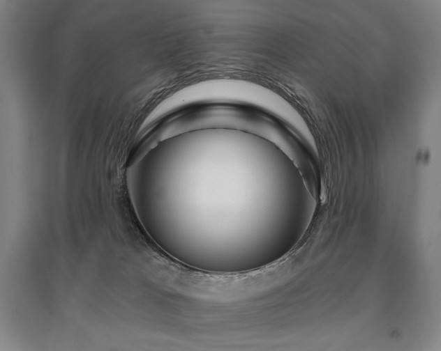 X0000095900037200801111220