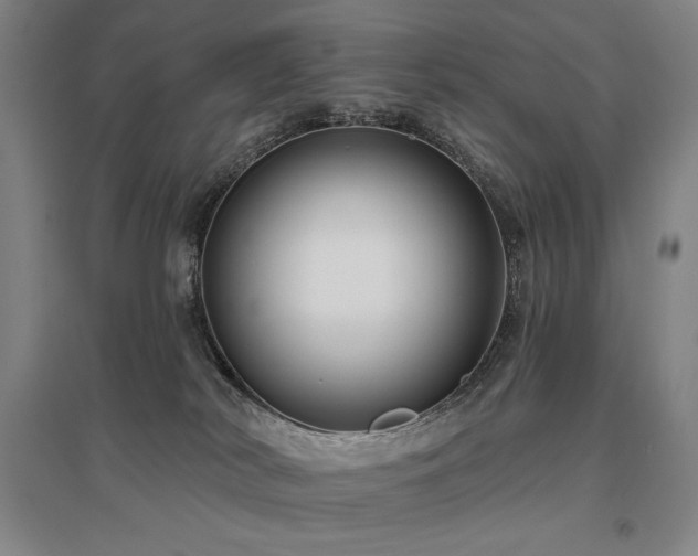X0000095900038200801111220