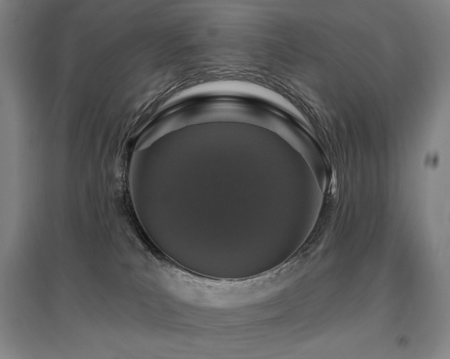 X0000095900039200801111220