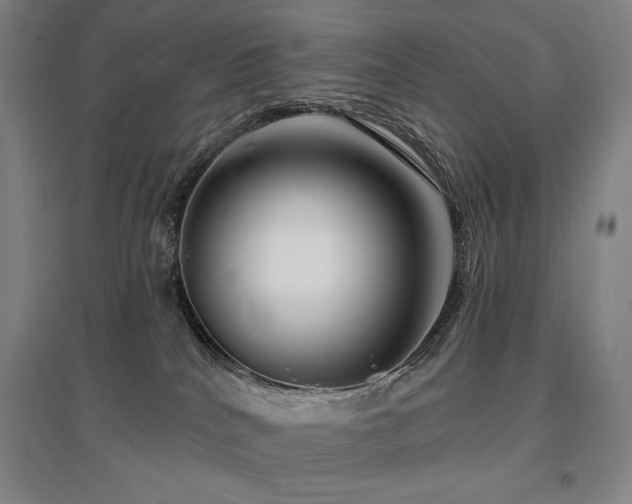 X0000095900040200801111220