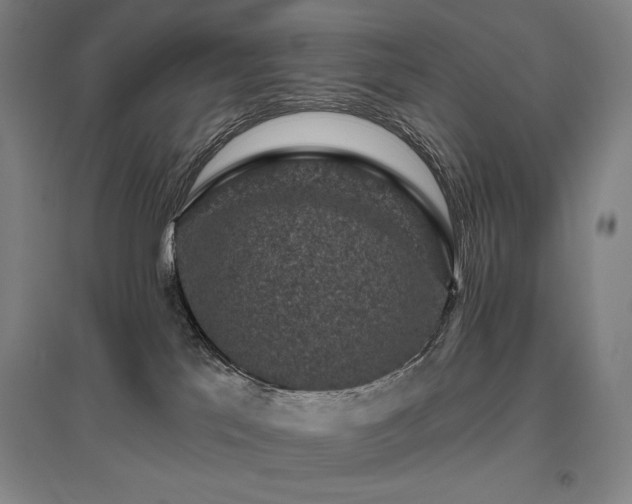 X0000095900041200801111220