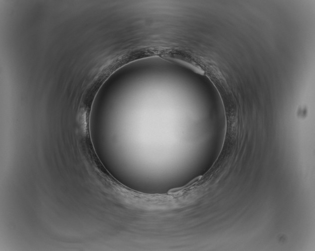 X0000095900042200801111219