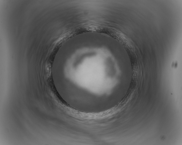 X0000095900043200801111219