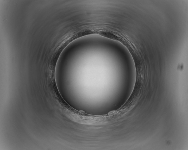 X0000095900044200801111219