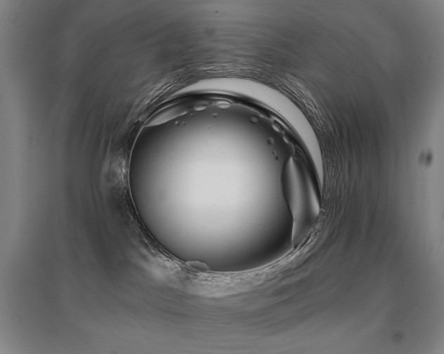 X0000095900045200801111219