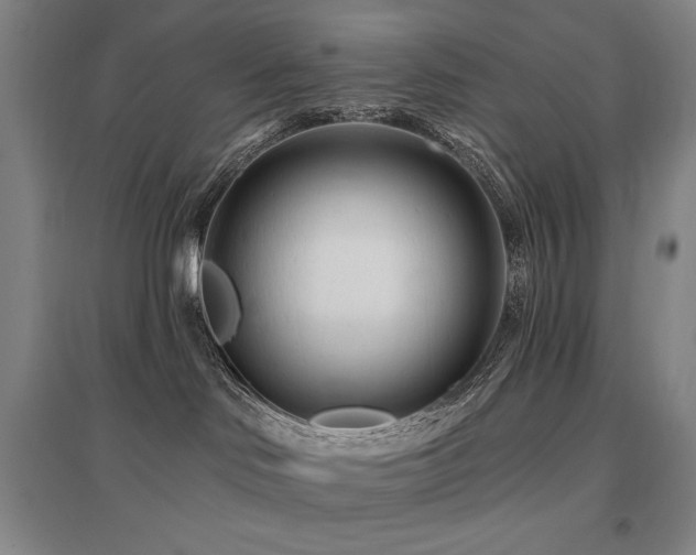 X0000095900046200801111219