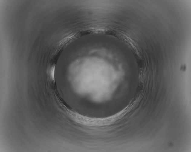 X0000095900047200801111219