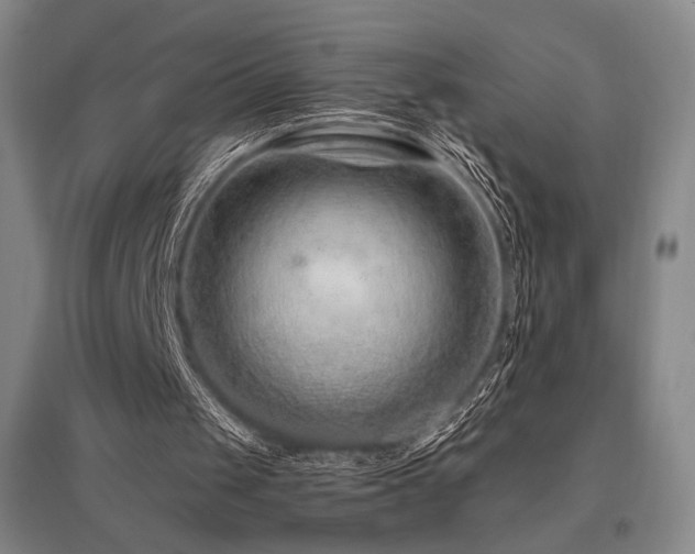 X0000095900049200801111219