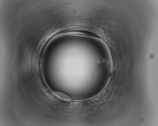 X0000095900050200801111219