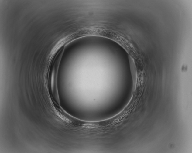 X0000095900051200801111219