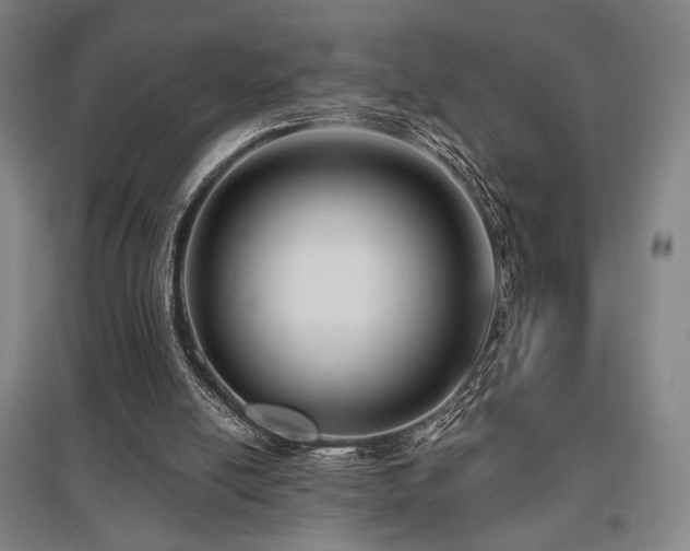 X0000095900054200801111219